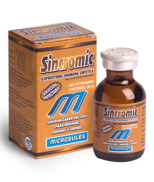 Sincromec 1 sincromec